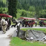Am Ferienbauernhof Schmiedbauer Com Salzkammergut *