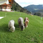 Am Ferienbauernhof Schmiedbauer Com Salzkammergut * Faistenau