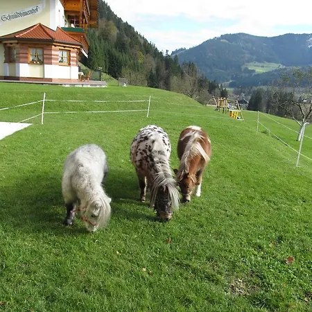 Am Ferienbauernhof Schmiedbauer Com Salzkammergut * Faistenau