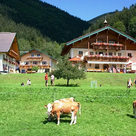 Apartment Am Ferienbauernhof Schmiedbauer Com Salzkammergut